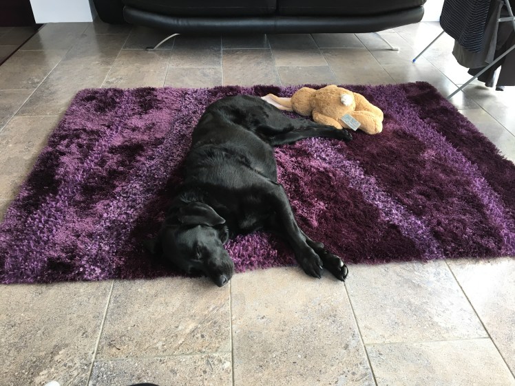 51922321815__B6497F4C-B638-4880-9A4D-A5453F5EBE30