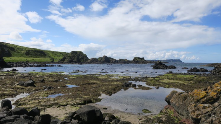 1D008D2C-4BDA-4242-BA15-85932F6E286C