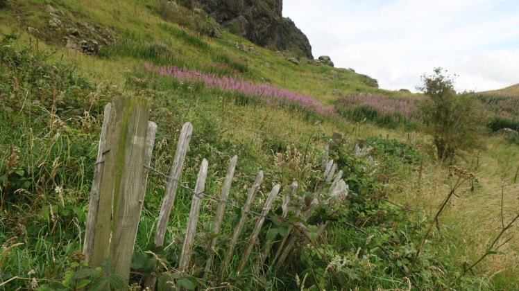 8867319A-CA5D-4F72-B10A-0153D98EDC8C